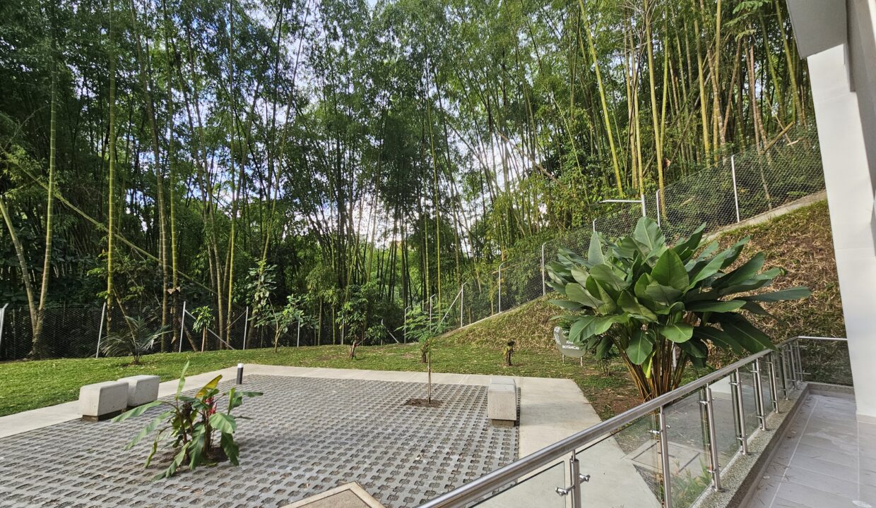 Vista hacia Ambiente Natural Primer Piso Botanika