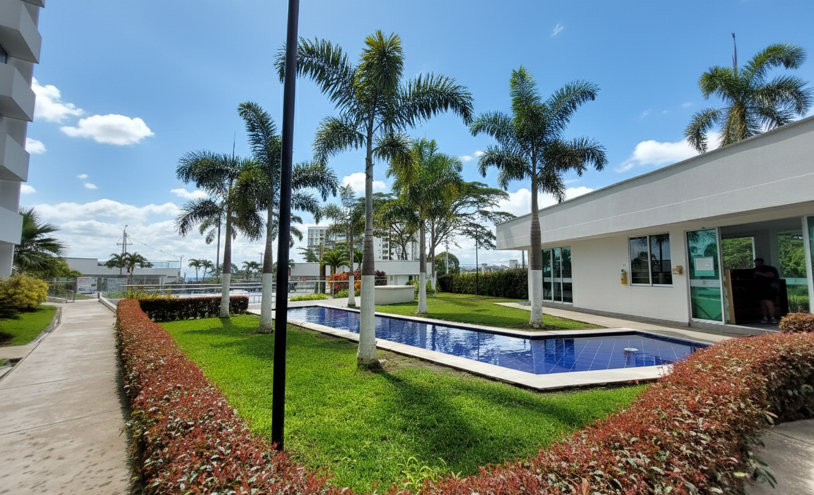 Recepción y Zonas Sociales en Apartamento Cortijo Imperial